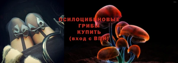 дурь Аркадак