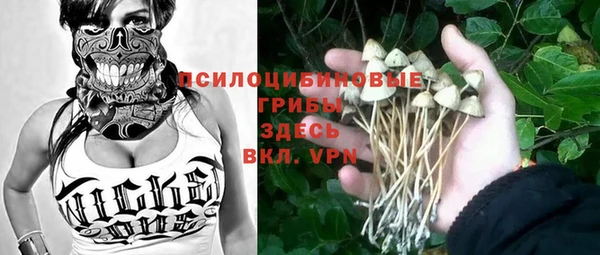 Альфа ПВП Арсеньев